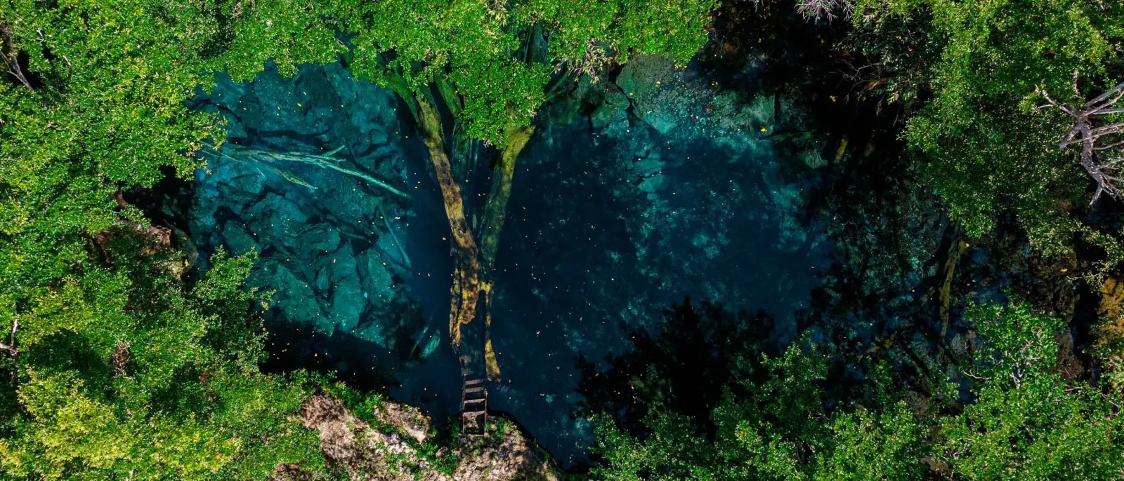 Journey Across Punta Cana