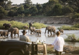 Mala Mala - Main Camp