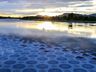 Infinity Pool