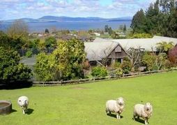 A Panoramic Country Homestay