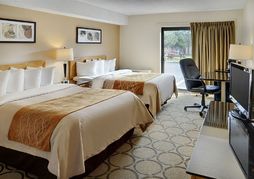 Comfort Inn Prince Albert