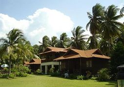 Dcoconut Island Resort