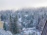 Guestroom View