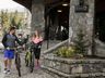Bike Rental
