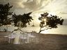 Outdoor Wedding Area