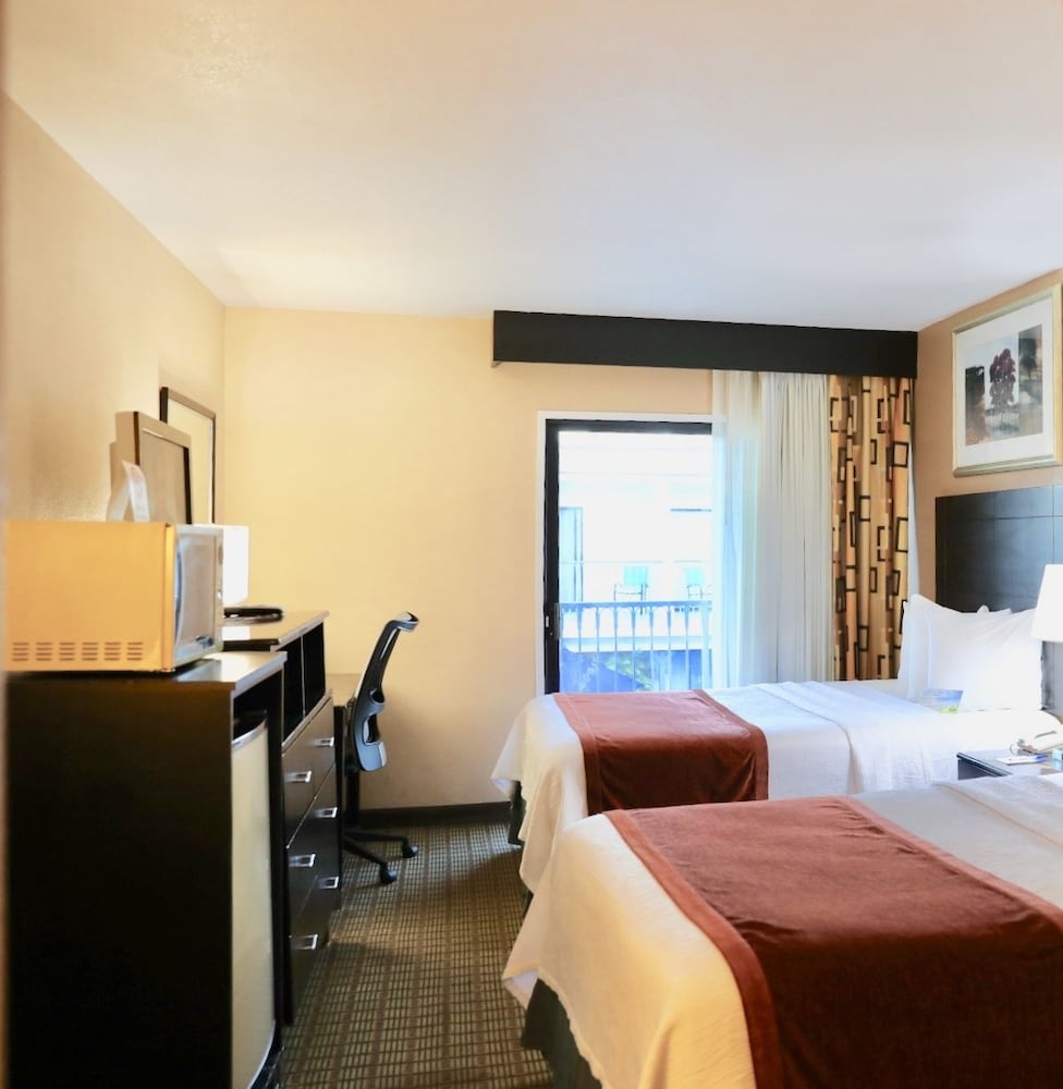 Guestroom View