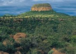 Entabeni Safari Conservancy