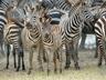 Serengeti National Park