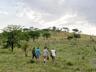 Guided Nature Walk