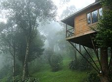 Hotel MyStays Asakusa - Bashi